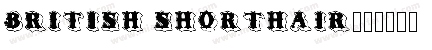 british shorthair字体转换